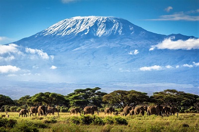 4 Day Safari Special - Get A Quote